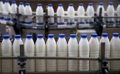 В этом году Брестская область впервые перешагнула рубеж по валовому производству молока в 2 млн тон.