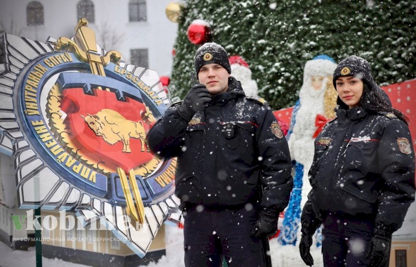 Меры безопасности и правила поведения граждан при проведении массовых мероприятий