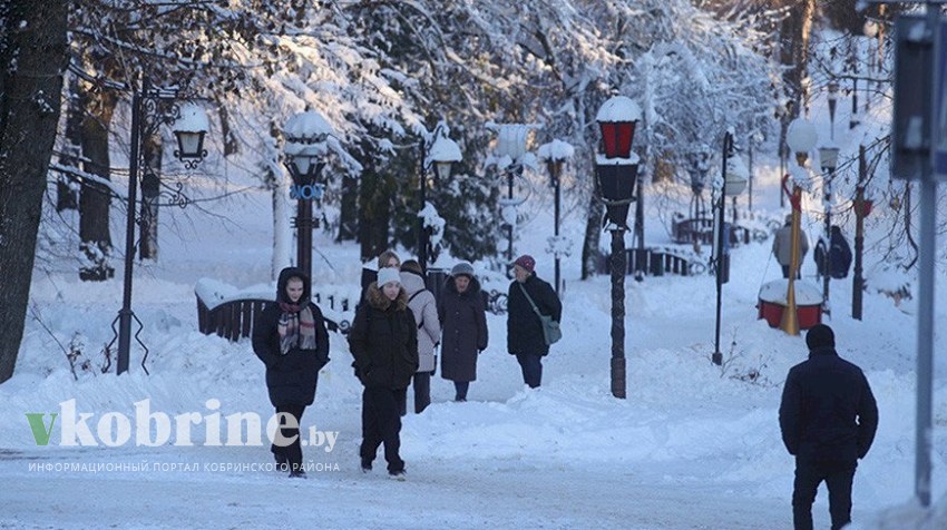 В Беларуси определен план мероприятий по правовому воспитанию и просвещению граждан до 2029 года