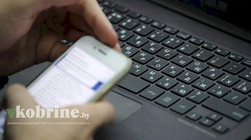 НЦЭУ: получить удостоверение о качестве семян лесных растений можно онлайн