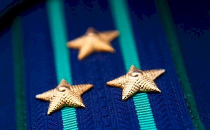 Прокуратура рассмотрела необычное обращение сторожа о падеже скота в Кобринском районе