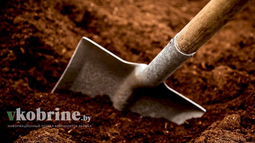 Ни стыда, ни совести. На кобринском кладбище украдены элементы для монтажа памятника