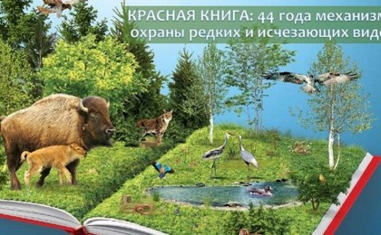 Новое издание Красной книги Беларуси пополнится более чем 300 видами растений