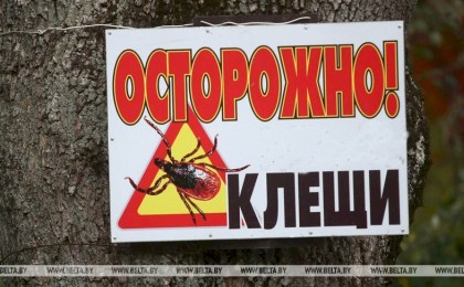 В Брестской области активизировались клещи
