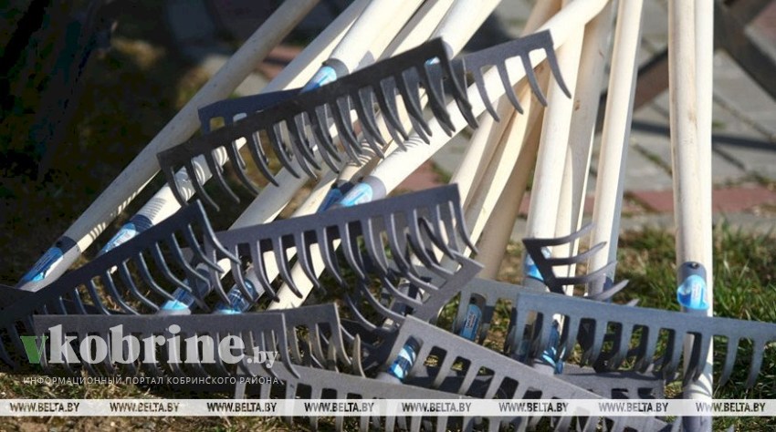 В Беларуси стартовала акция по наведению порядка на земле, благоустройству и озеленению