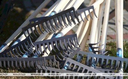 В Беларуси стартовала акция по наведению порядка на земле, благоустройству и озеленению