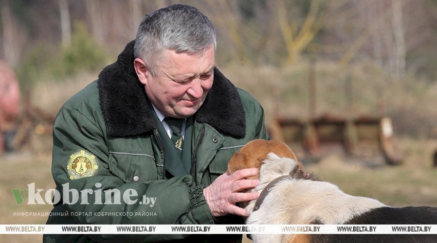 Лучших работников лесной отрасли наградят в День Конституции