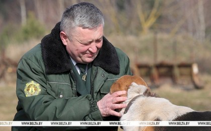 Лучших работников лесной отрасли наградят в День Конституции