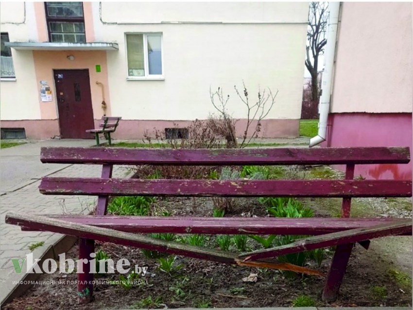 «Ах, скамейка, ты моя скамеечка!»