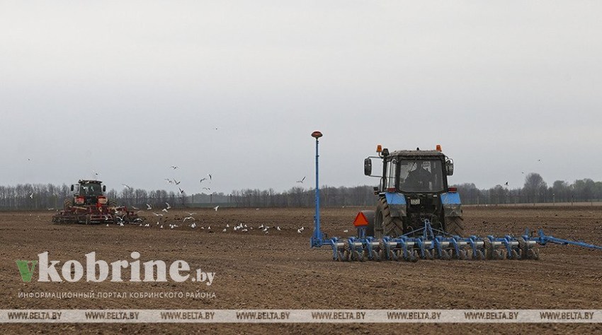 Посевную в Беларуси планируют завершить до 9 мая