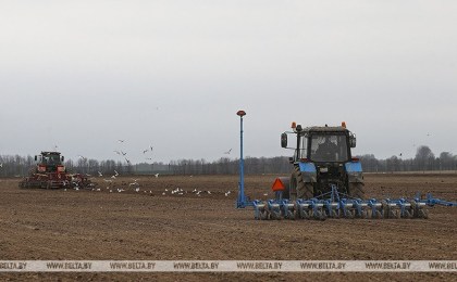 Посевную в Беларуси планируют завершить до 9 мая
