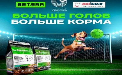 Betera Pets — масштабная акция помощи бездомным животным