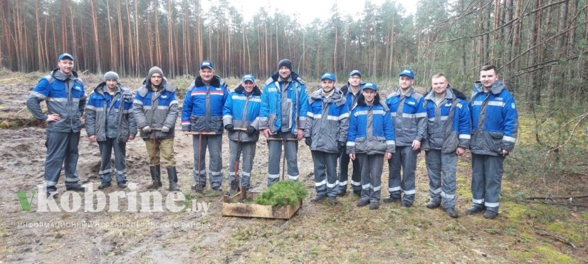 Филиал «Кобринское УМГ ОАО «Газпром трансгаз Беларусь» присоединился к республиканской добровольной акции «Аднавім лясы разам».
