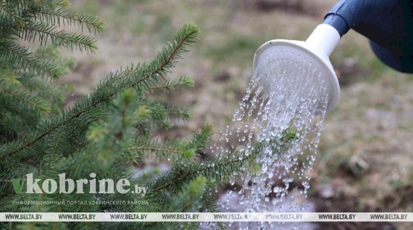 Республиканский субботник пройдет в Беларуси 20 апреля