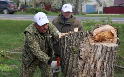 Трудовой десант партийцев: участие в республиканском субботнике принял актив Кобринского районного отделения Белорусской партии «Белая Русь»