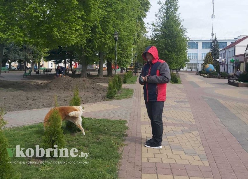 Не садил – не жалко?