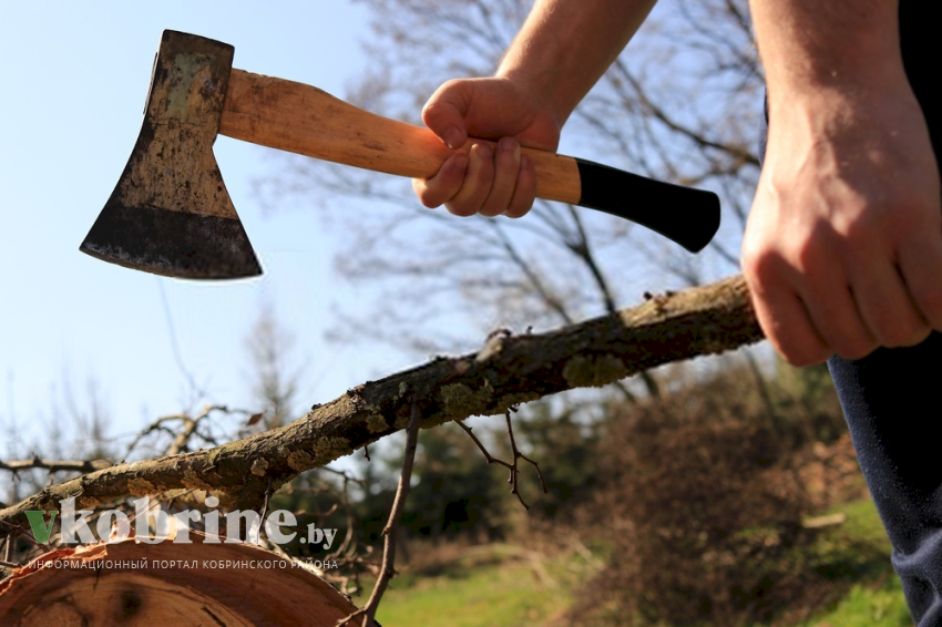 Как навести порядок на кладбище? Вопрос от жителей деревни Руховичи