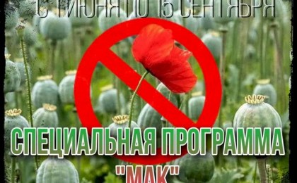 С 1 июня по 15 сентября сотрудниики Кобринского РОВД будут проводить специальную программу «Мак»