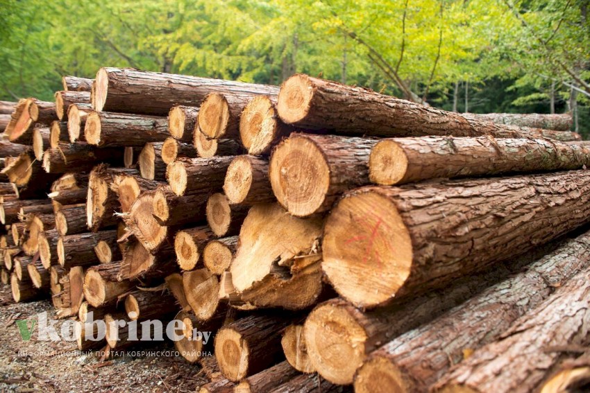 Налоговые последствия заключения договоров аренды  с взаимозависимыми ИП