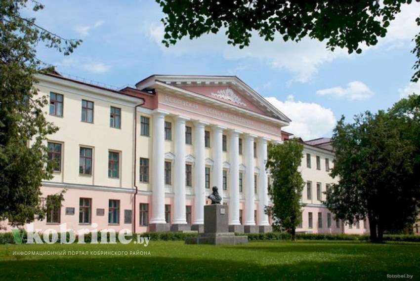 Как абитуриенту выбрать лучший вуз: мнения студентов БГСХА из Кобрина