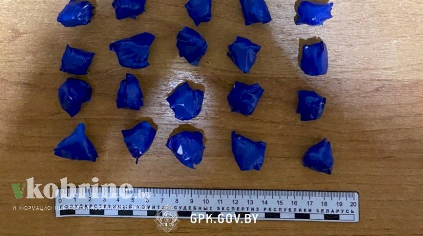 Пограничники в Бресте перекрыли канал поставки наркотиков в Беларусь