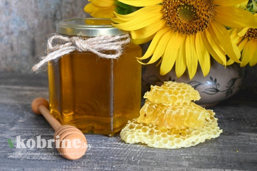 Медовый Спас. Священнослужитель об истинном смысле праздника и церковной традиции