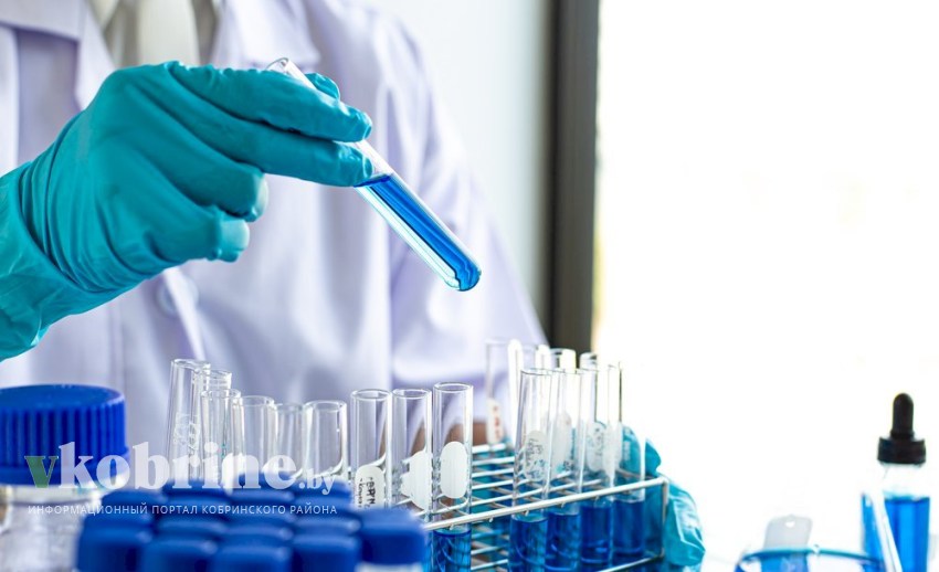 В Кобринском районе в центре «Колос» среди детей и воспитателей выявили норовирусную инфекцию