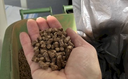 Пеллеты - альтернатива другим видам топлива?