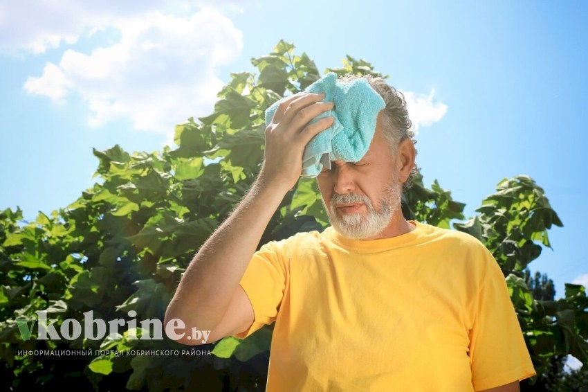 Поинтересовались, как кобринчане справляются с жарой