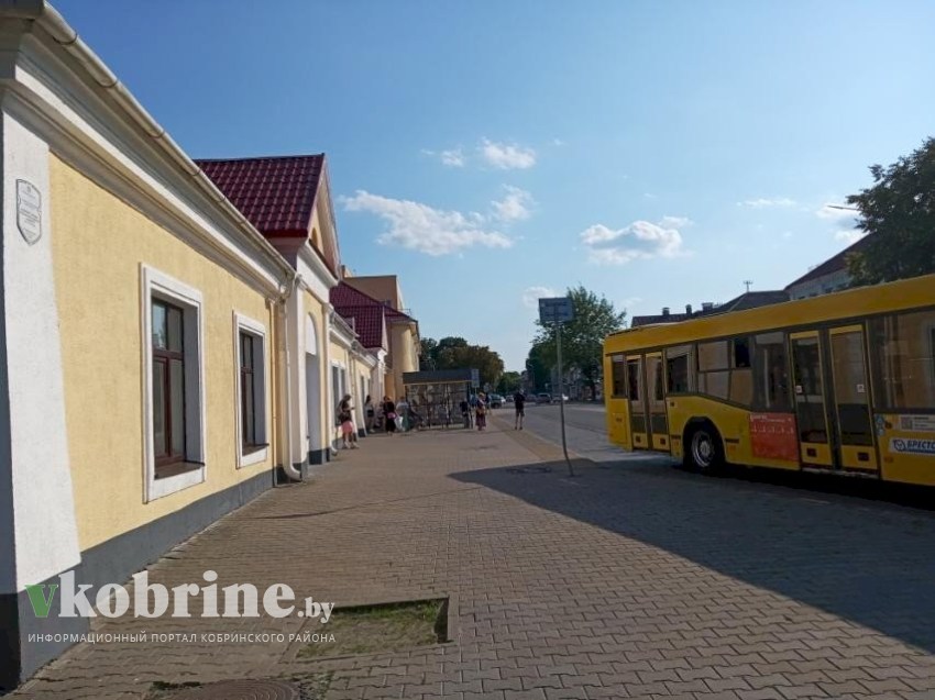 Зачем на площади Ленина и у швейной фабрики спилили липы и ели? 