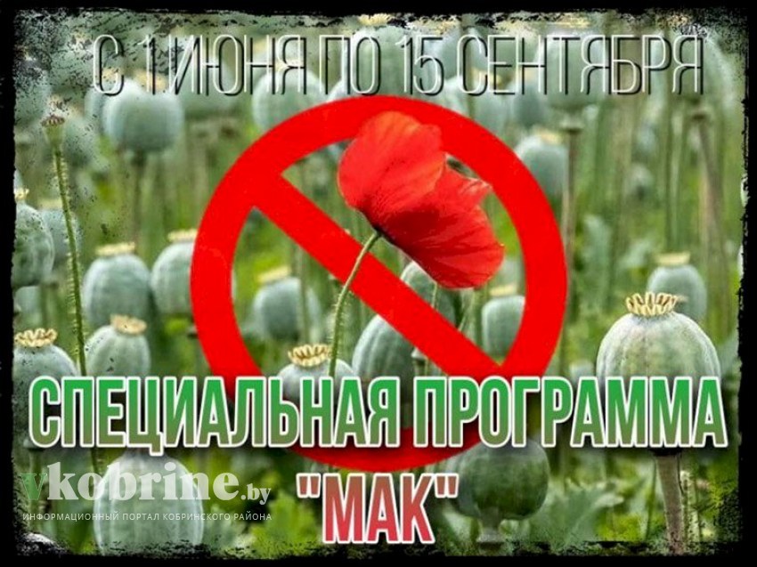 Подведены итоги специальной программы «Мак»