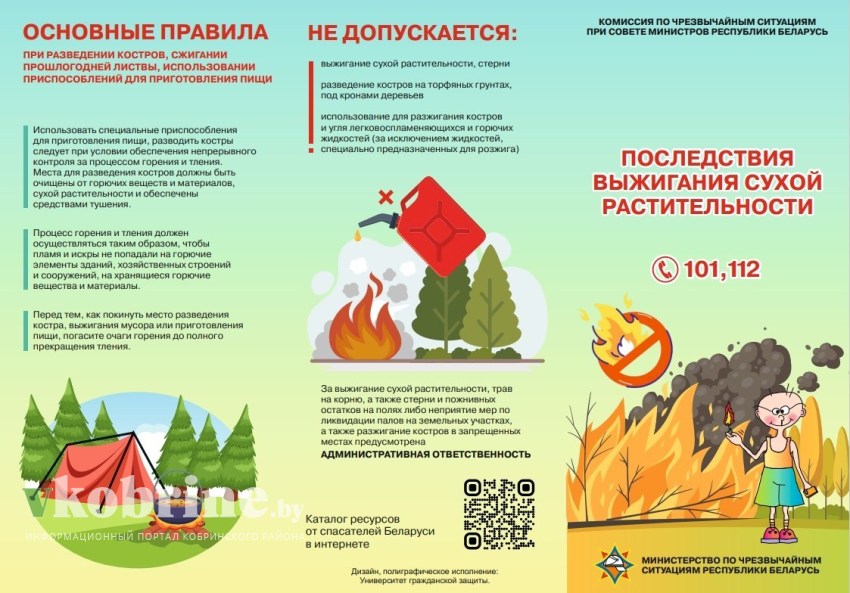 Как правильно разводить костры
