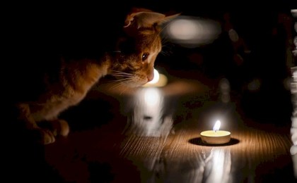 Дивин, Илосск, Новоселки... Где и когда не будет электричества в Кобринском районе на следующей неделе