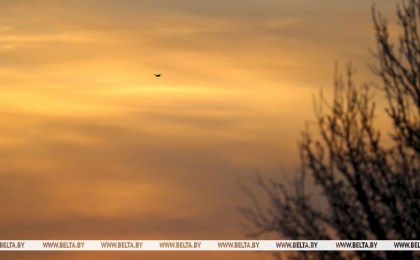 В Беларуси разрешили применять физическую силу и спецсредства в отношении различных видов беспилотников