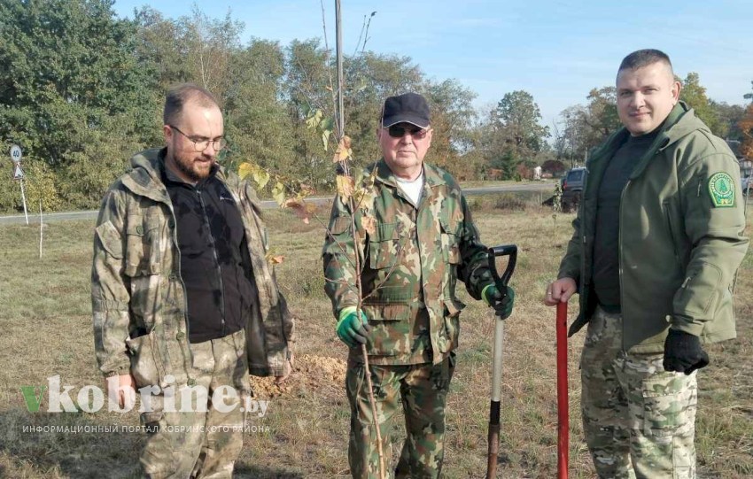 В деревне Болота восстанавливают сквер