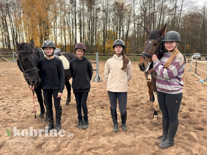 Спортивная школа верховой езды в д. Верхолесье 