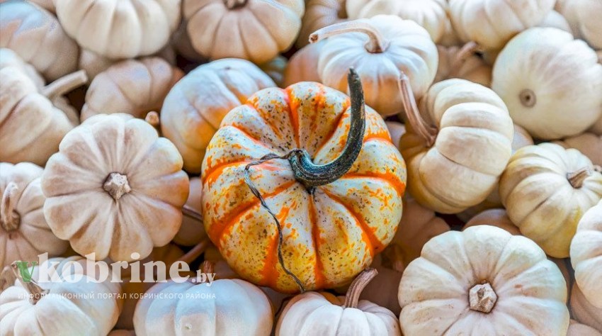 Кому стоит включить в рацион тыкву?