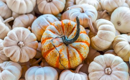 Кому стоит включить в рацион тыкву?