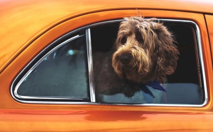 Шесть причин, почему при езде на автомобиле следует закрывать окна