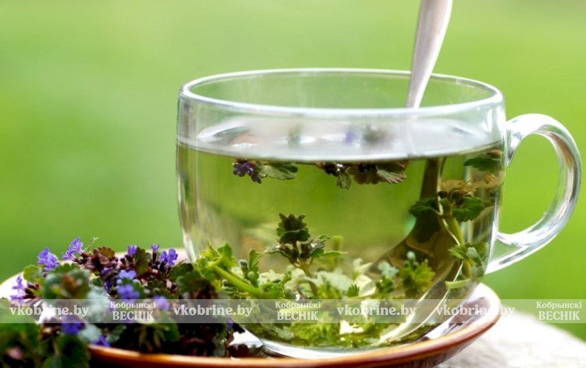 Названы продукты и напитки, которые выводят токсины из организма