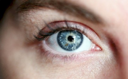 Диетолог назвала необходимые продукты в рационе для здоровья глаз