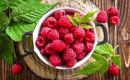 Есть ли польза от малины при простуде?