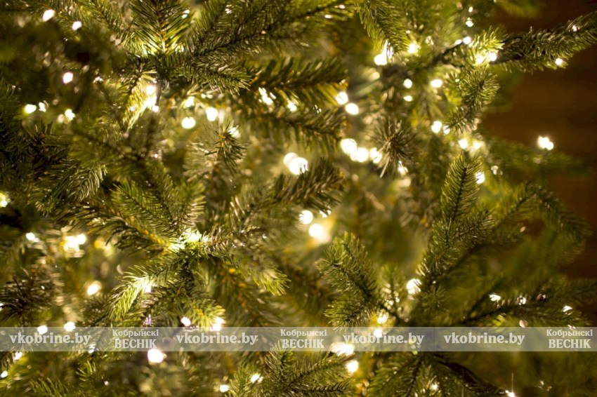 Как новогодние гирлянды влияют на качество сна