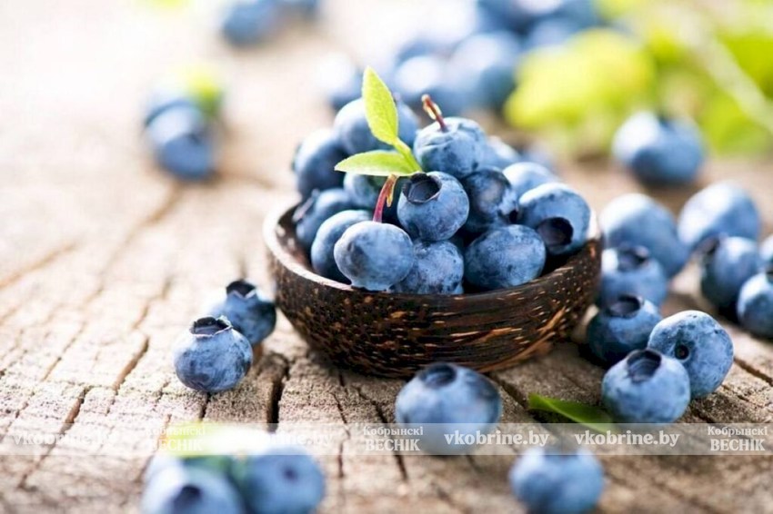 В чем заключается польза черники? Рассказали эксперты