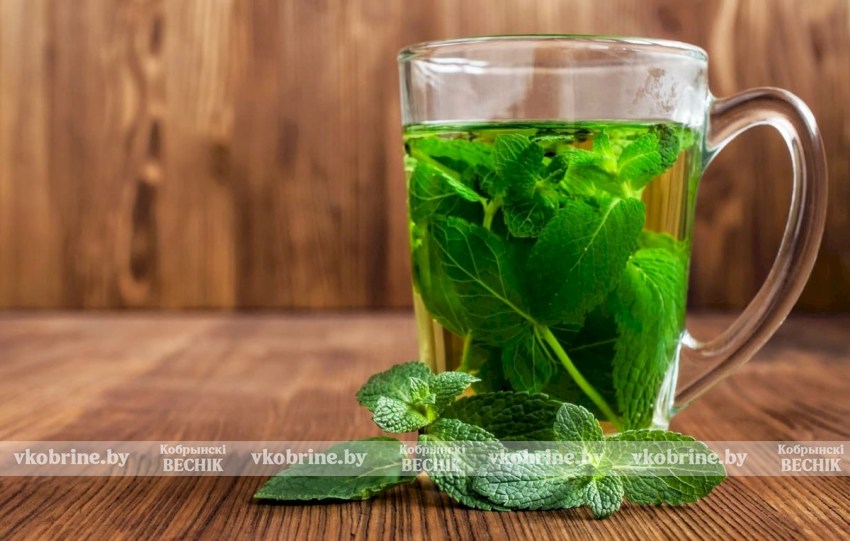 Специалист рассказала, какие напитки помогут снять тревожность