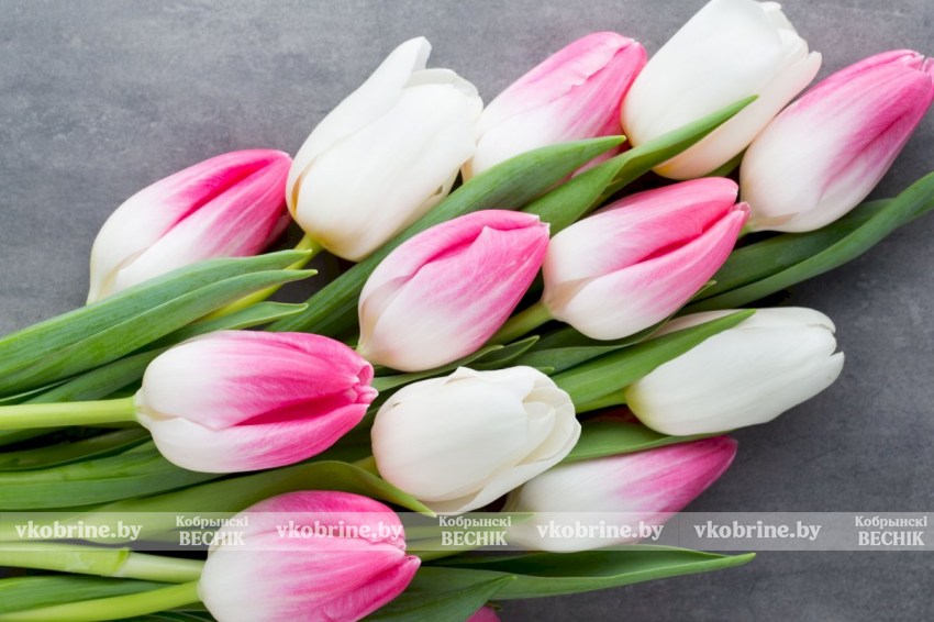 Что делать, чтобы тюльпаны стояли в вазе как можно дольше – простые советы