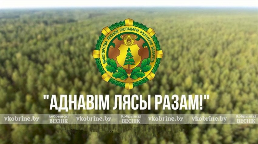 Акция «Дай лесу новае жыццё!» стартует в Беларуси 21 марта