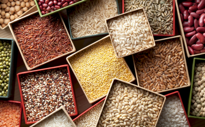 Как ввезти в Беларусь из-за границы растения и семена, рассказали в ГТК