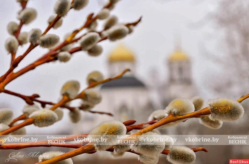 Православные верующие празднуют сегодня Вербное воскресенье