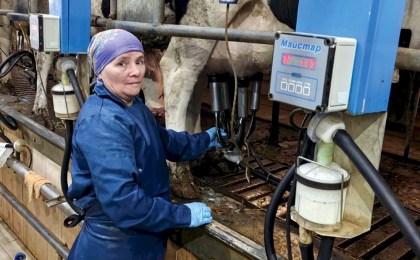 Оператор машинного доения Татьяна Тарасенко знает, что каждую корову не только нужно подоить, но и погладить